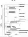 Fig. 48 - Feedback device and method for providing thermal feedback by means of same