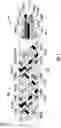 Fig. 07 - Touch-sensitive braided cord