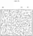 Fig. 11 - Display device