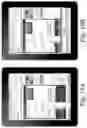 Fig. 20 - Display Management for Native User Experiences