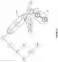Fig. 13 - Image file optimizations by opportunistic sharing