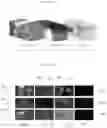 Fig. 18 - Video wall