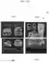 Fig. 30 - Video wall
