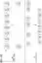 Fig. 103 - VEHICLE MASTER DEVICE, VEHICLE ELECTRONIC CONTROL SYSTEM, CONFIGURATION SETTING INFORMATION REWRITE INSTRUCTION METHOD, AND CONFIGURATION SETTING INFORMATION REWRITE INSTRUCTION PROGRAM PRODUCT