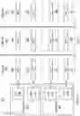 Fig. 03 - Message synchronization system