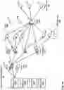 Fig. 06 - Failure impact analysis of network events