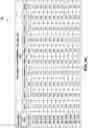 Fig. 12 - Clustering storage systems for sharing of data patterns used for deduplication