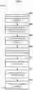 Fig. 06 - Management of content