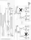 Fig. 37 - Reassignment of nodes during query execution