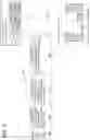 Fig. 09 - Automated labeling of child objects within tagged parents