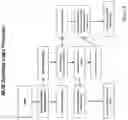 Fig. 08 - SYSTEMS AND METHODS FOR DISPLAYING AND USING DISCRETE MICRO-LOCATION IDENTIFIERS