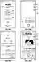 Fig. 19 - A SYSTEM AND A METHOD OF ALLOWING PARTICIPANTS TO PARTICIPATE AND EVALUATE DIGITAL IMAGES OF SPORTS FANS, PUBLIC DISPLAYS OF AFFECTION AND MISCELLANEOUS GROUPS