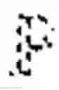 Fig. 67 - INTERVAL PRIVACY