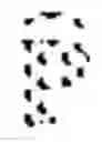 Fig. 72 - INTERVAL PRIVACY