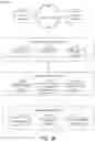 Fig. 03 - Personal information platforms