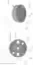Fig. 52 - CONSTRUCTION ANCHOR APPARATUS AND SYSTEM AND METHODOLOGY OF USE