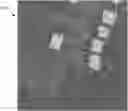 Fig. 01 - Determining 3D Structure Features From DSM Data