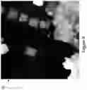 Fig. 12 - Determining 3D Structure Features From DSM Data