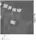 Fig. 15 - Determining 3D Structure Features From DSM Data