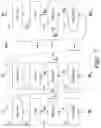 Fig. 10 - Reducing the numerical complexity of designs