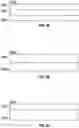 Fig. 05 - Adaptive row patterns for custom-tiled placement fabrics for mixed height cell libraries