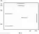 Fig. 03 - Text editing
