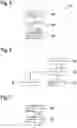 Fig. 04 - Method and device for analyzing elements of a text collection, method and device for searching for information in digital data