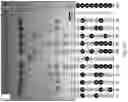 Fig. 03 - Modifying messages stored in mixtures of molecules using thin-layer chromatography