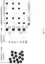 Fig. 04 - Modifying messages stored in mixtures of molecules using thin-layer chromatography