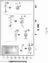 Fig. 05 - Modifying messages stored in mixtures of molecules using thin-layer chromatography