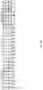 Fig. 07 - Modifying messages stored in mixtures of molecules using thin-layer chromatography