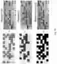 Fig. 17 - Modifying messages stored in mixtures of molecules using thin-layer chromatography