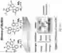 Fig. 27 - Modifying messages stored in mixtures of molecules using thin-layer chromatography