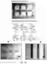 Fig. 29 - Modifying messages stored in mixtures of molecules using thin-layer chromatography