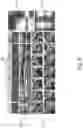 Fig. 09 - Cooperative-contrastive learning systems and methods