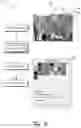 Fig. 07 - Selective extraction of color attributes from digital images
