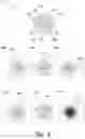 Fig. 09 - Selective extraction of color attributes from digital images