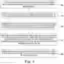 Fig. 06 - Artificial neural network model selection
