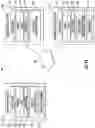 Fig. 11 - Automated Machine Learning for Time Series Prediction