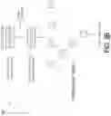 Fig. 06 - TREE-BASED TRANSFER LEARNING OF TUNABLE PARAMETERS