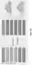 Fig. 29 - COORDINATED DELIVERY OF DINING EXPERIENCES