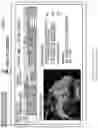 Fig. 08 - SKILL INFORMATION PRESENTATION SYSTEM AND SKILL INFORMATION PRESENTATION METHOD