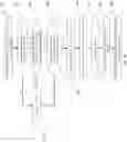 Fig. 19 - SPLIT PAYMENT METHOD AND USE THEREOF