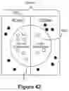 Fig. 43 - Methods and Systems for Low Latency Generation and Distribution of Quote Price Duration Estimates