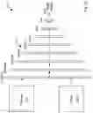 Fig. 26 - Artificial Intelligence Platform for Dental Claims Adjudication Prediction Based on Radiographic Clinical Findings