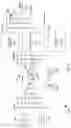 Fig. 29 - Artificial Intelligence Platform for Dental Claims Adjudication Prediction Based on Radiographic Clinical Findings