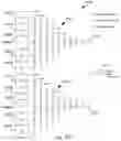 Fig. 38 - Artificial Intelligence Platform for Dental Claims Adjudication Prediction Based on Radiographic Clinical Findings