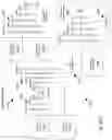 Fig. 47 - Artificial Intelligence Platform for Dental Claims Adjudication Prediction Based on Radiographic Clinical Findings