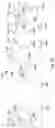 Fig. 58 - Artificial Intelligence Platform for Dental Claims Adjudication Prediction Based on Radiographic Clinical Findings
