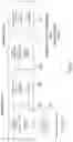Fig. 65 - Artificial Intelligence Platform for Dental Claims Adjudication Prediction Based on Radiographic Clinical Findings